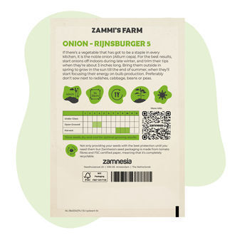 Gul lök – Rijnsburger 5 (Allium cepa) frön