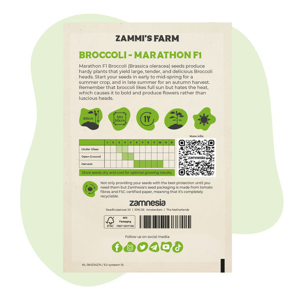 Broccolifrön Marathon F1 (Brassica oleracea)