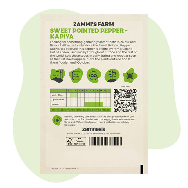 Söta spetsiga paprikafrön av sorten kapiya (Capsicum annuum)