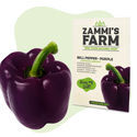 Paprika Purple Bell (Capsicum annuum) frön