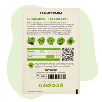Telegraph-gurkfrön (Cucumis sativus)