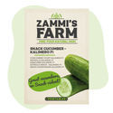 Kalimero F1 snackgurka (Cucumis sativus) frön