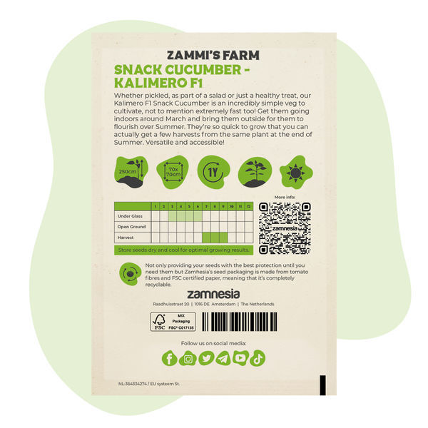 Kalimero F1 snackgurka (Cucumis sativus) frön