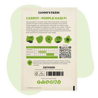 Purple Haze F1 morotsfrön (Daucus carota L.)