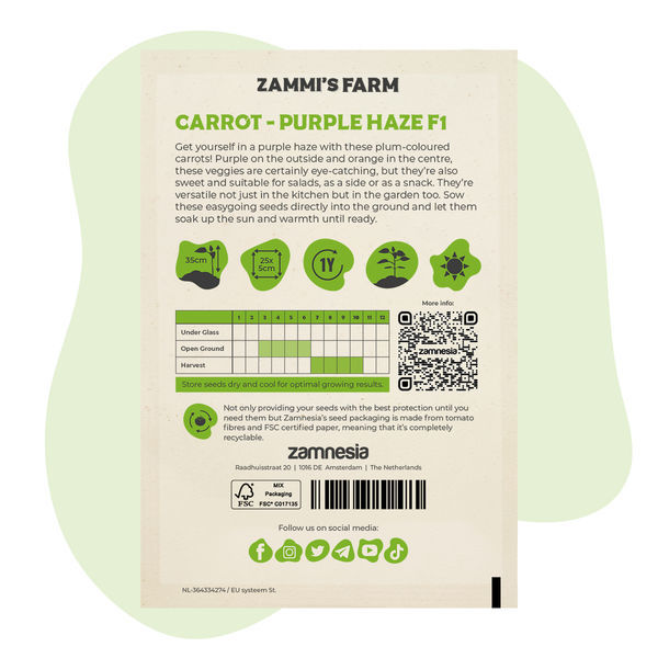 Purple Haze F1 morotsfrön (Daucus carota L.)