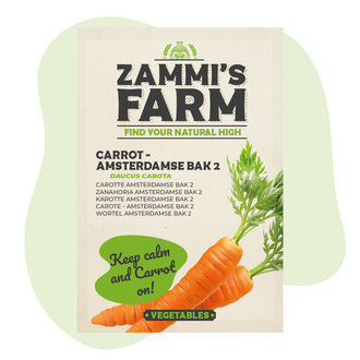 Morot Amsterdamse Bak 2 (Daucus carota) frön