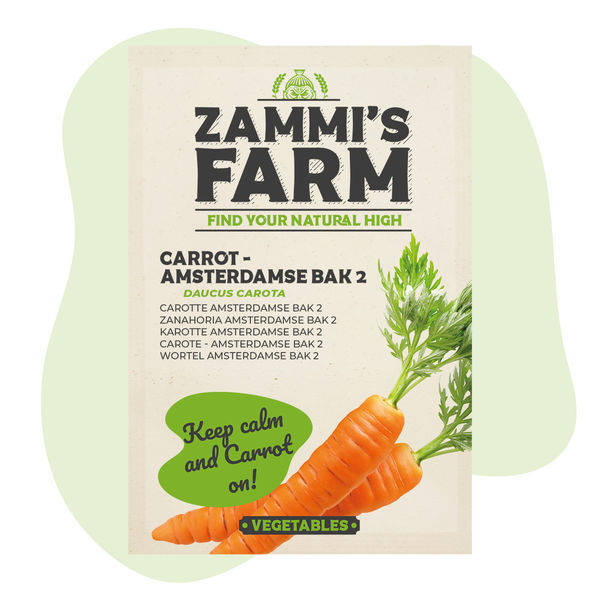 Morot Amsterdamse Bak 2 (Daucus carota) frön