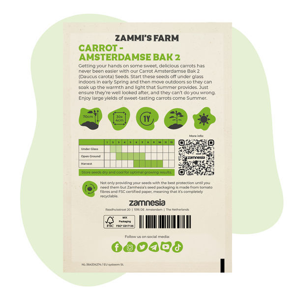 Morot Amsterdamse Bak 2 (Daucus carota) frön