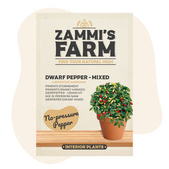 Dvärgpeppar 'Mix' (Capsicum annuum) frön