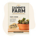 Kaktusmix (Ferocactus wislizeni) frön