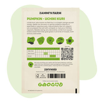 Uchiki Kuri-pumpafrön (Cucurbita maxima)