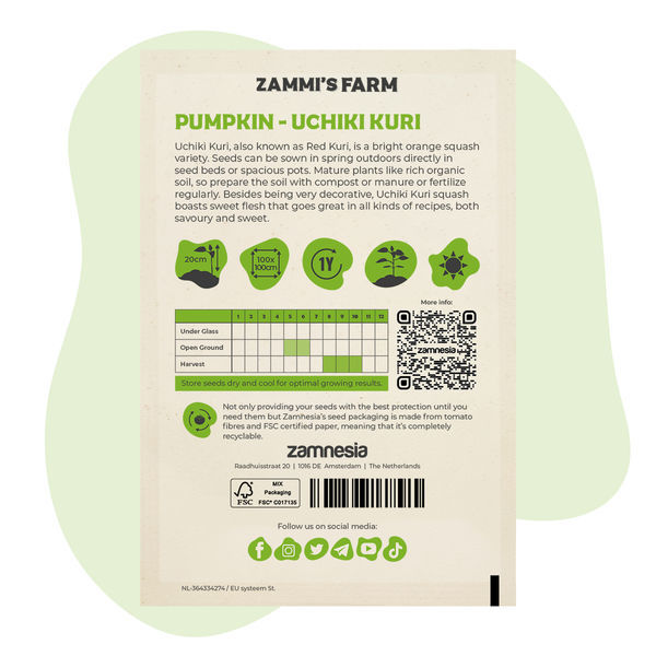 Uchiki Kuri-pumpafrön (Cucurbita maxima)