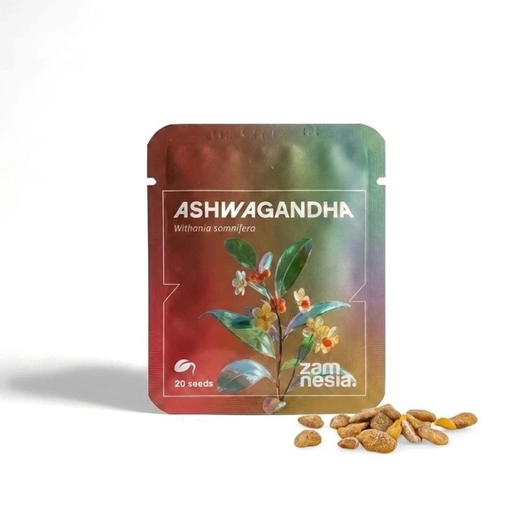 Ashwagandha (Withania somnifera) 20 frön