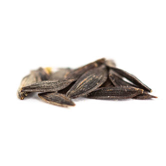 Fr&ouml;n av vild sallat (Lactuca virosa)