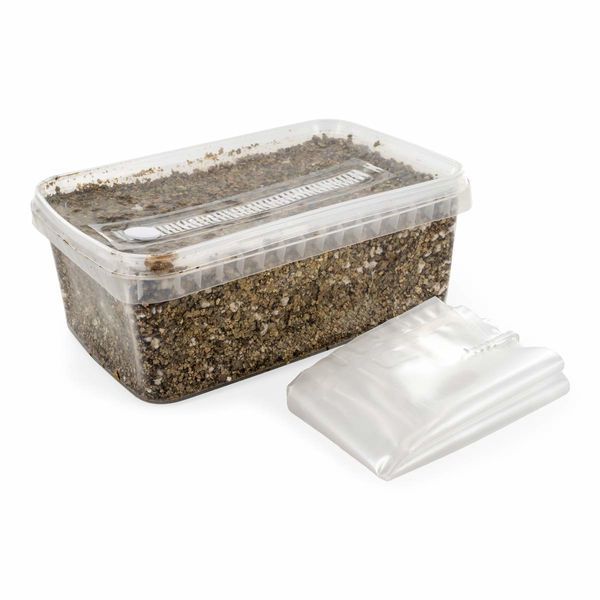 Kit med steriliserat substrat