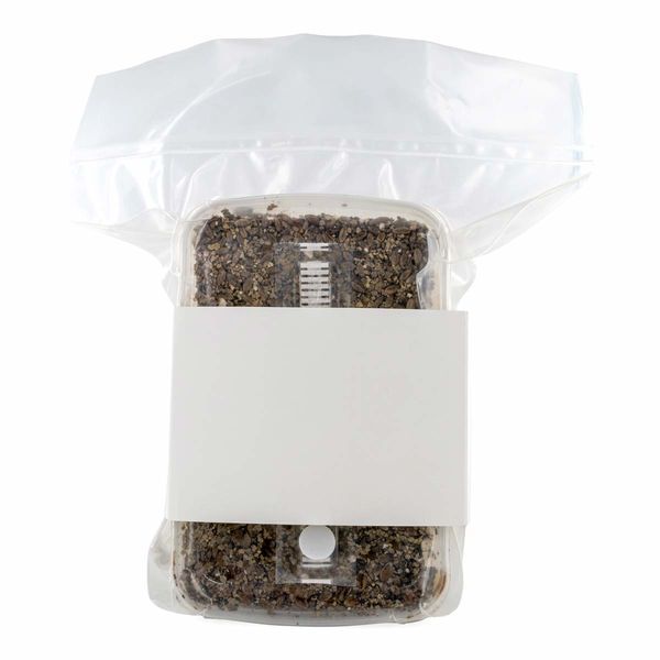 Kit med steriliserat substrat