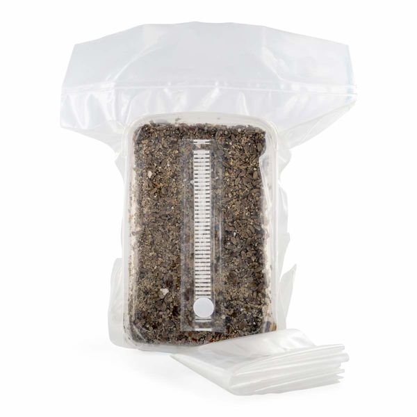 Kit med steriliserat substrat