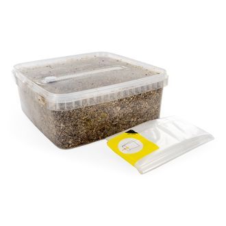 Kit med steriliserat substrat