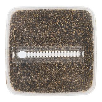 Kit med steriliserat substrat
