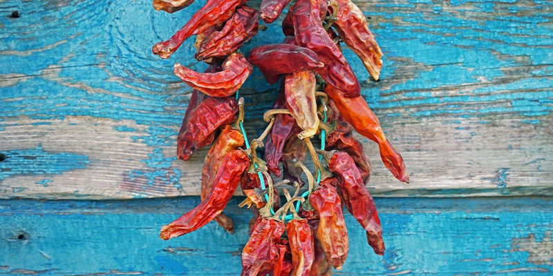 Så torkar du chili på traditionellt vis Så torkar du chili på traditionellt vis