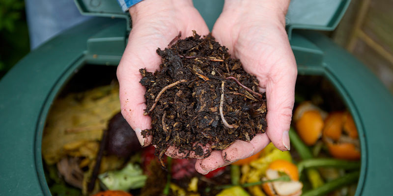 Why Make Your Own Cannabis Fertiliser? Why Make Your Own Cannabis Fertiliser?