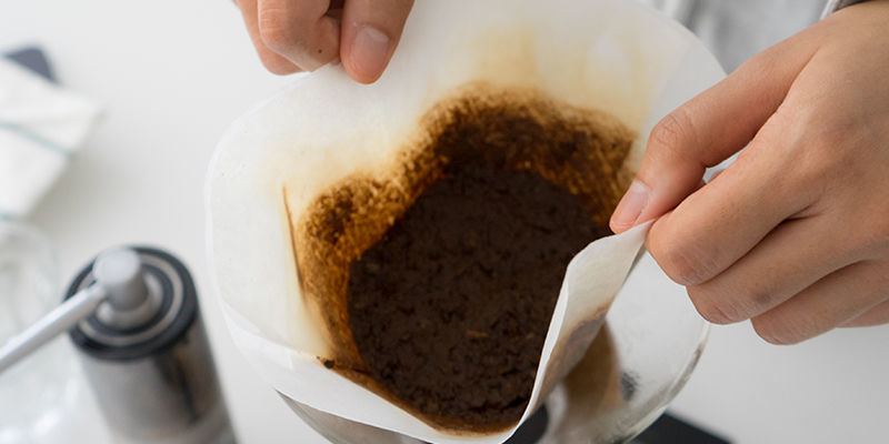 Vilken kaffesump är bäst för cannabis? Which coffee grounds are the best for cannabis?