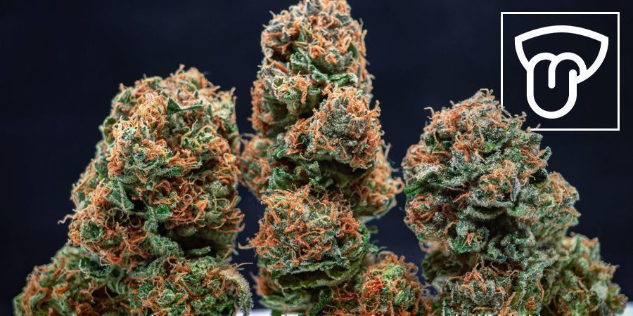 Inomhus- vs utomhusodlad cannabis: smak