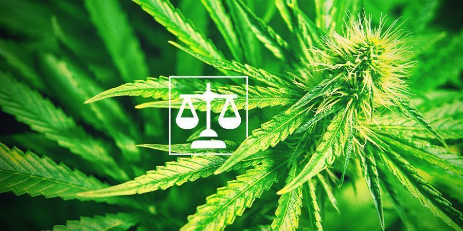 Laglighet för cannabis Legality Cannabis