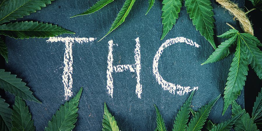 Vad är skillnaden mellan hampa och cannabis? Vad är skillnaden mellan hampa och cannabis?