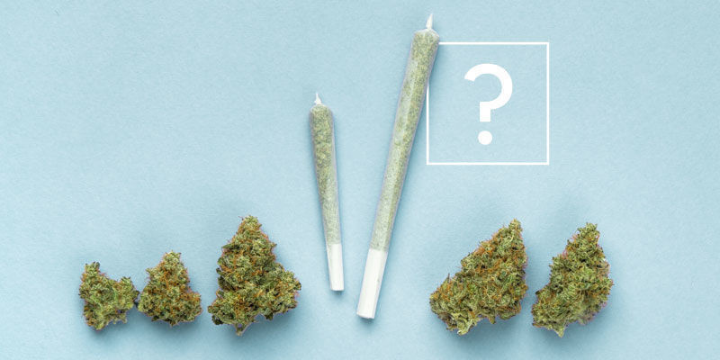 Hur m&aring;nga joints kan du rulla av ett gram cannabis?