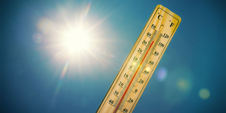 Cannabis Höga temperaturer cannabis high temperatures