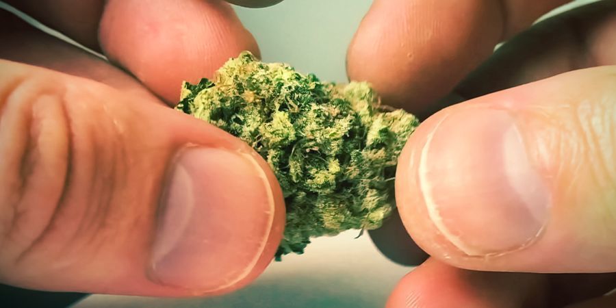 Touch: Sticky Icky Touch: Sticky Icky