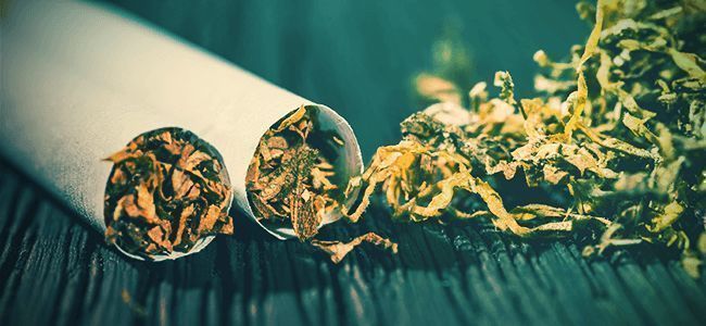 Topp 10 skäl att sluta med tobak och röka ren marijuana