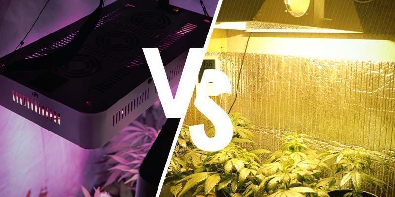 Är LED-odlingslampor lika bra som HPS? Är LED-odlingslampor lika bra som HPS?