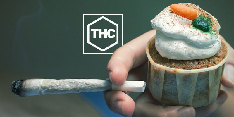 THC & Ghrelin Production THC & Ghrelin Production