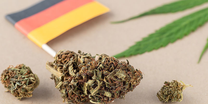 Kritik mot Tysklands nya cannabislagar Critiques Of Germany'S New Cannabis Laws