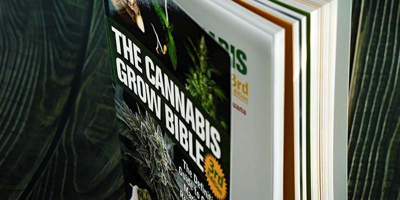 The Cannabis Grow Bible (3rd Edition) The Cannabis Grow Bible (3rd Edition)