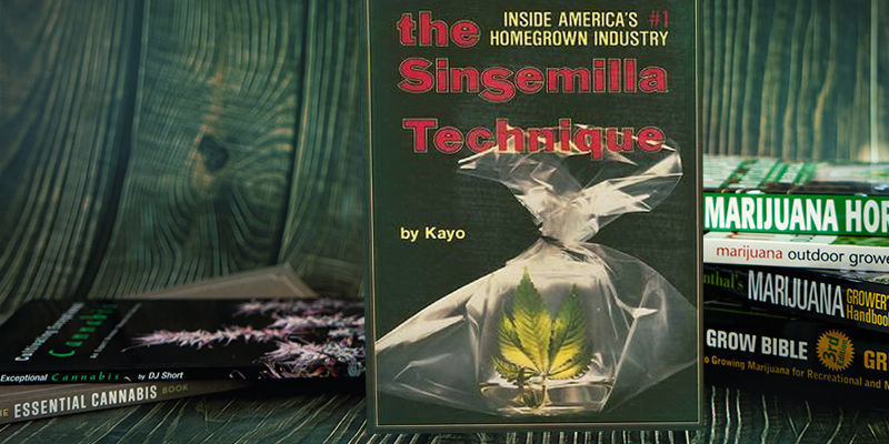 Sinsemilla-tekniken The Sinsemilla Technique