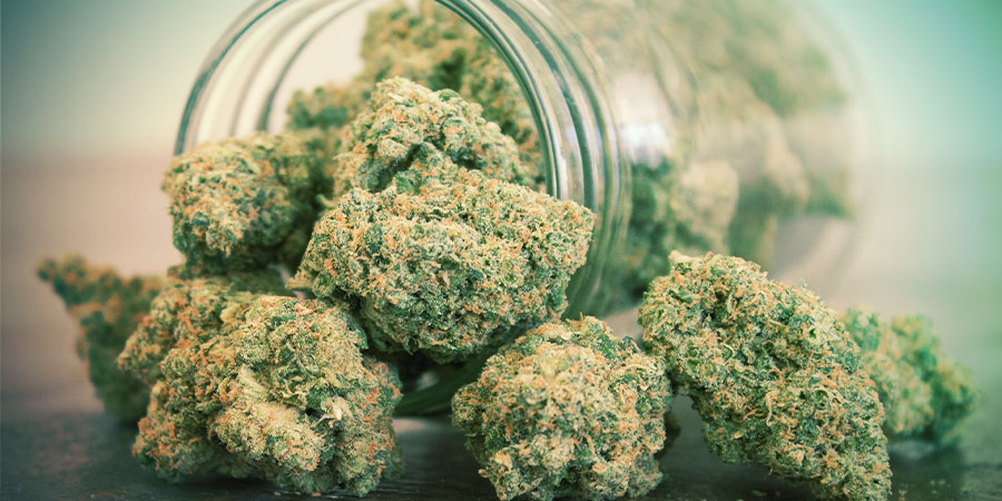 HUR MYCKET CANNABIS BEHÖVER JAG?