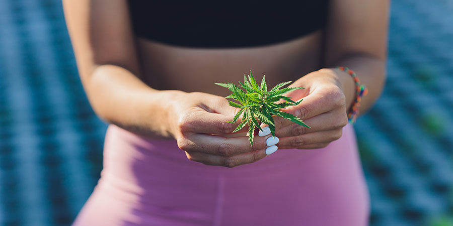 Cannabis och sport Weed and sports