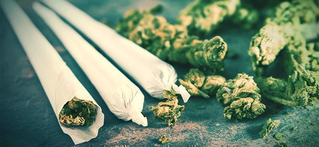 Joints Joints
