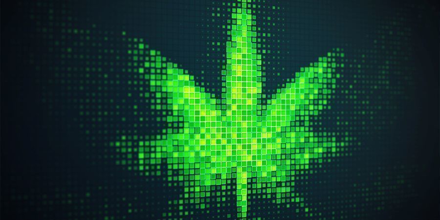 Ofta stenad, men aldrig uttråkad: internet är ett paradis för stoners Ofta stenad, men aldrig uttråkad: internet är ett paradis för stoners
