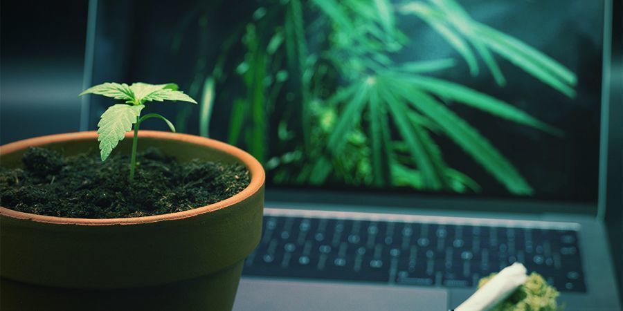 Vilka är de bästa webbplatserna för stoners? Vilka är de bästa webbplatserna för stoners?