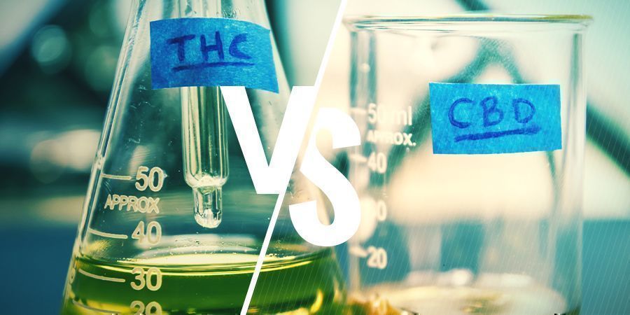 THC och CBD: vad är skillnaden? THC och CBD: vad är skillnaden?