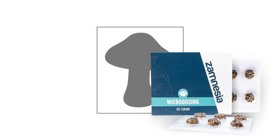Mikrodosering https://www.zamnesia.se/34-smartshop/458-mikrodosering