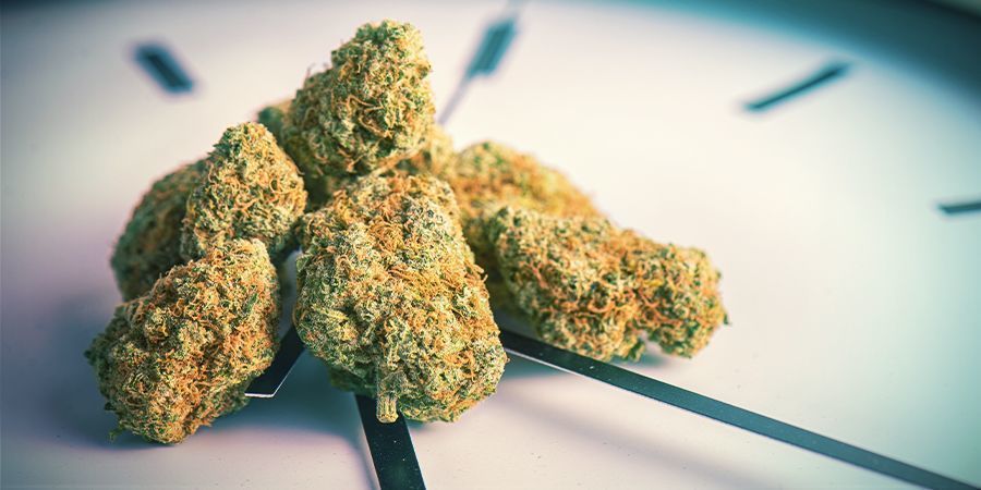Hur länge varar ett cannabisrus? HUR LÄNGE VARAR ETT CANNABISRUS?