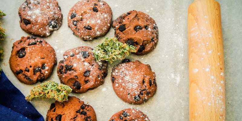 B&auml;sta sativa-sorterna f&ouml;r &auml;tbara cannabisprodukter