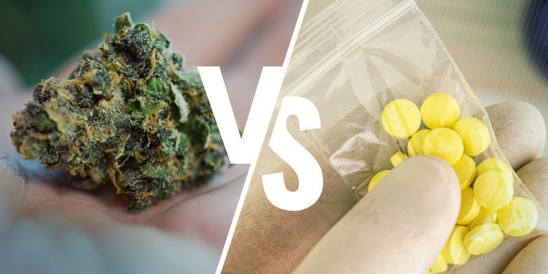 Naturliga vs syntetiska droger Natural vs synthetic drugs