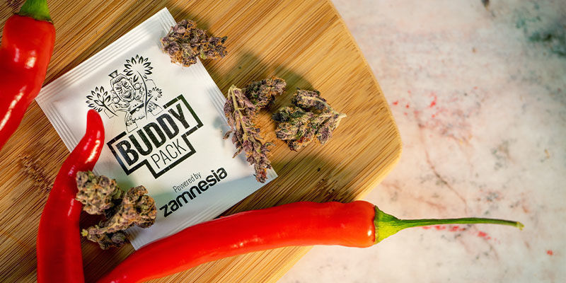 Så använder du chilipeppar vid samodling med cannabis How Use Hot Peppers For Cannabis Companion Planting