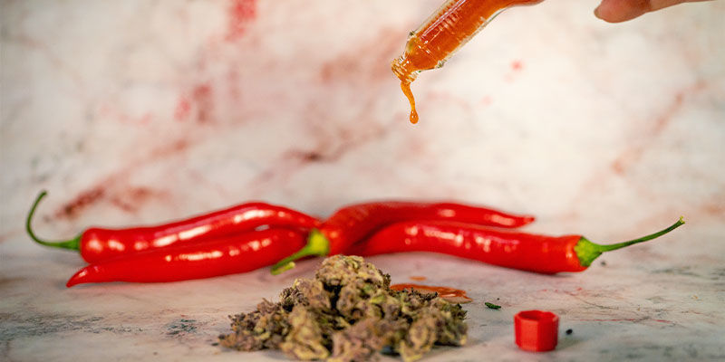 Hur du kombinerar heta chili med cannabis i mat Hur du kombinerar heta chili med cannabis i mat